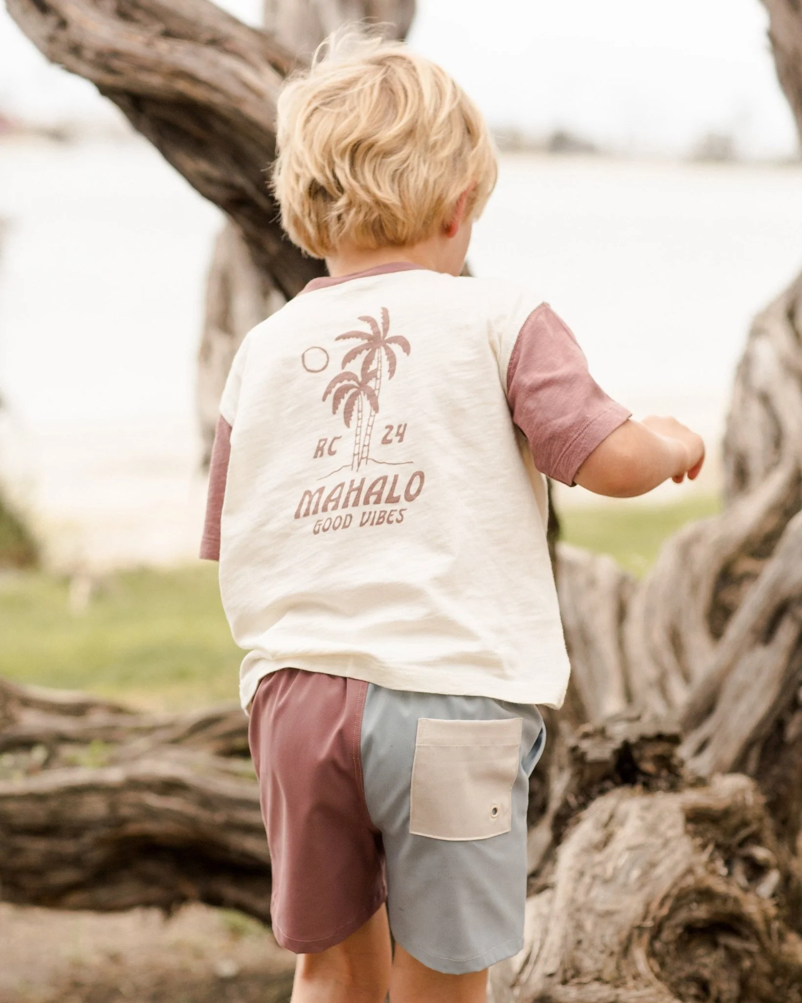 Boardshort || Mulberry - Image 3