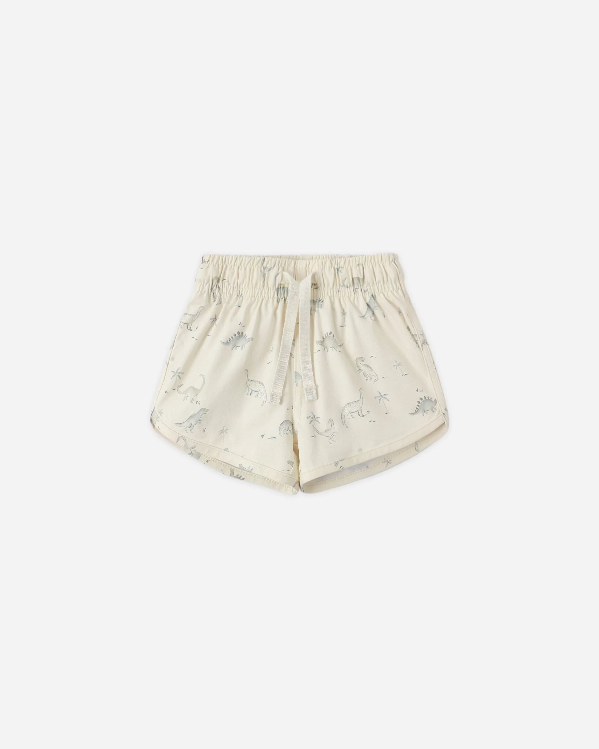 Boys Swim Short Dinosaur