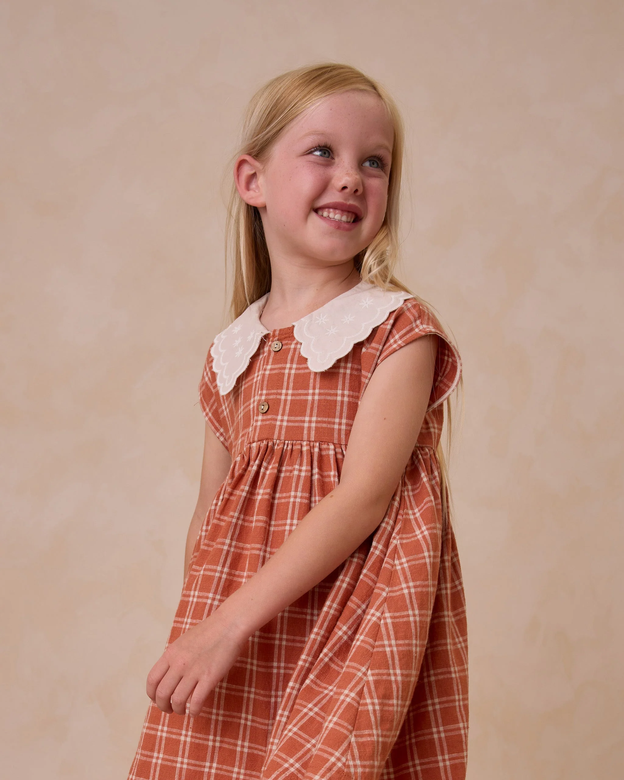 Collared Babydoll Dress || Poppy Check - Image 3