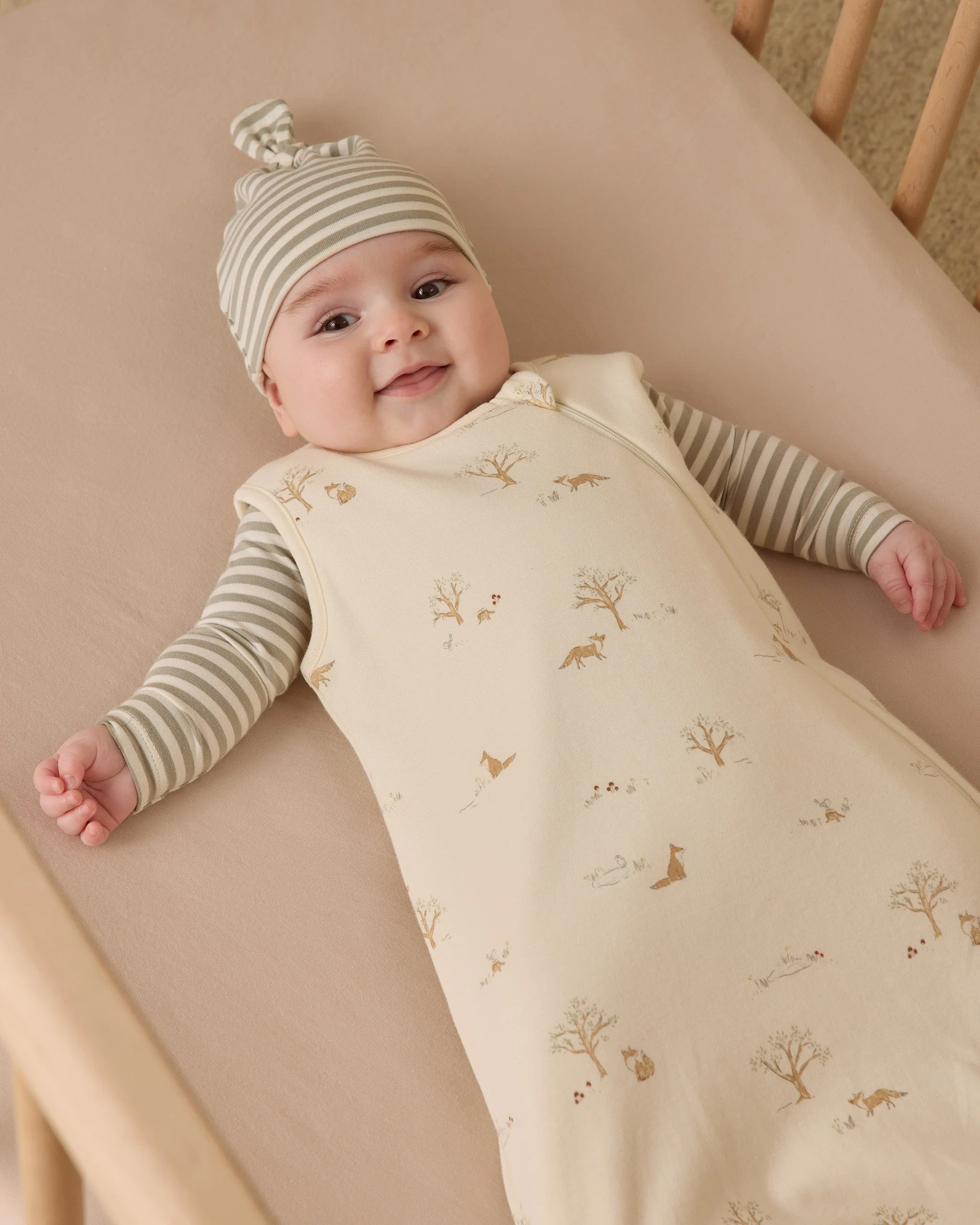 Jersey Bodysuit, 2 Pack || Fox Land, Fern Stripe - Image 3