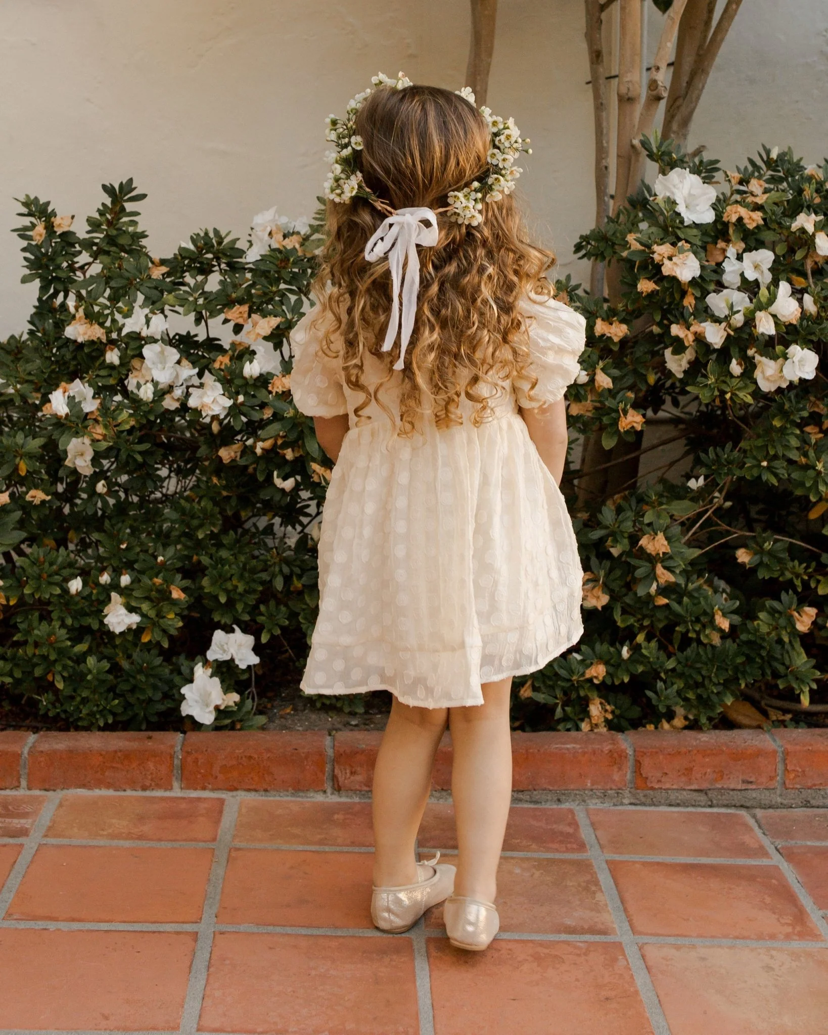 Luna Dress || Dotty Organza - Image 6
