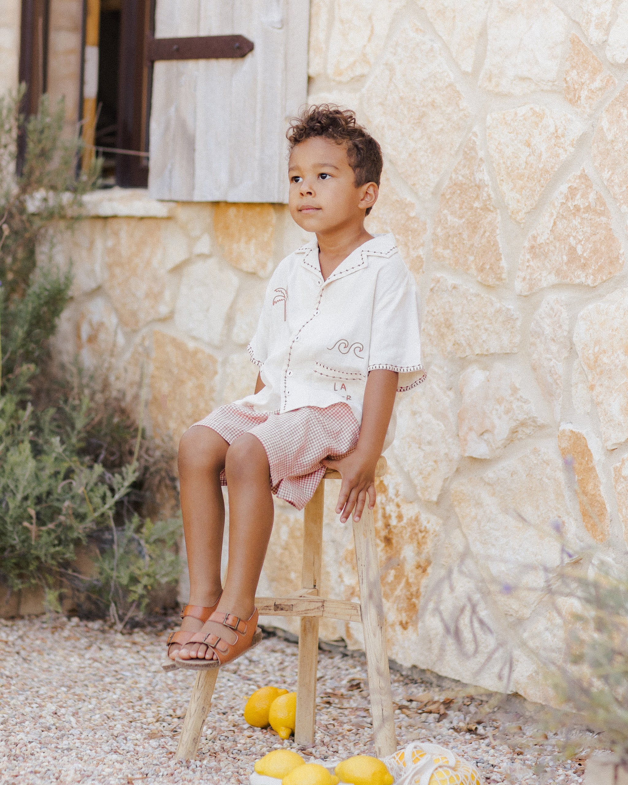 Perry Short || Poppy Gingham - Image 4