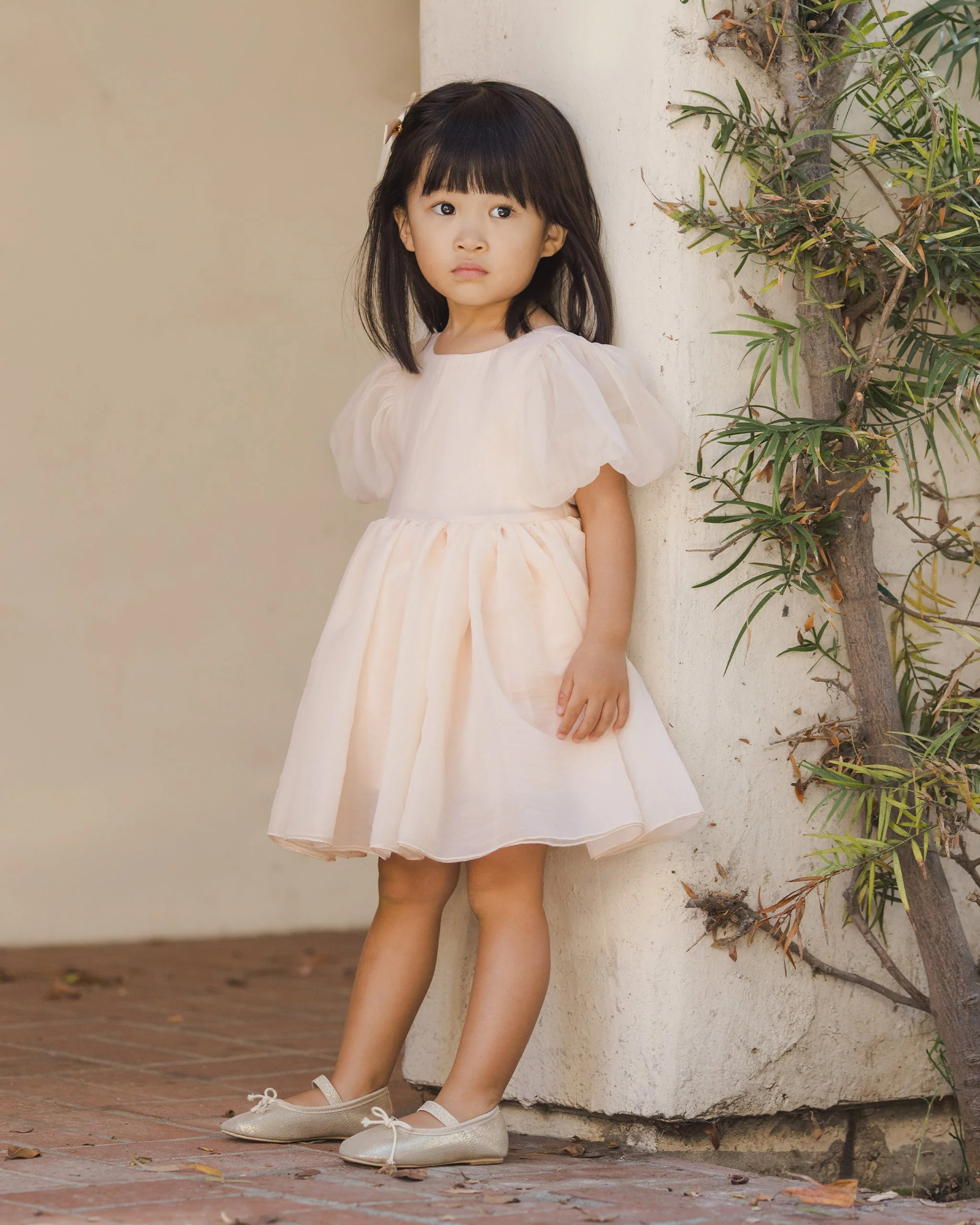 Sofia Dress Blush - Image 4