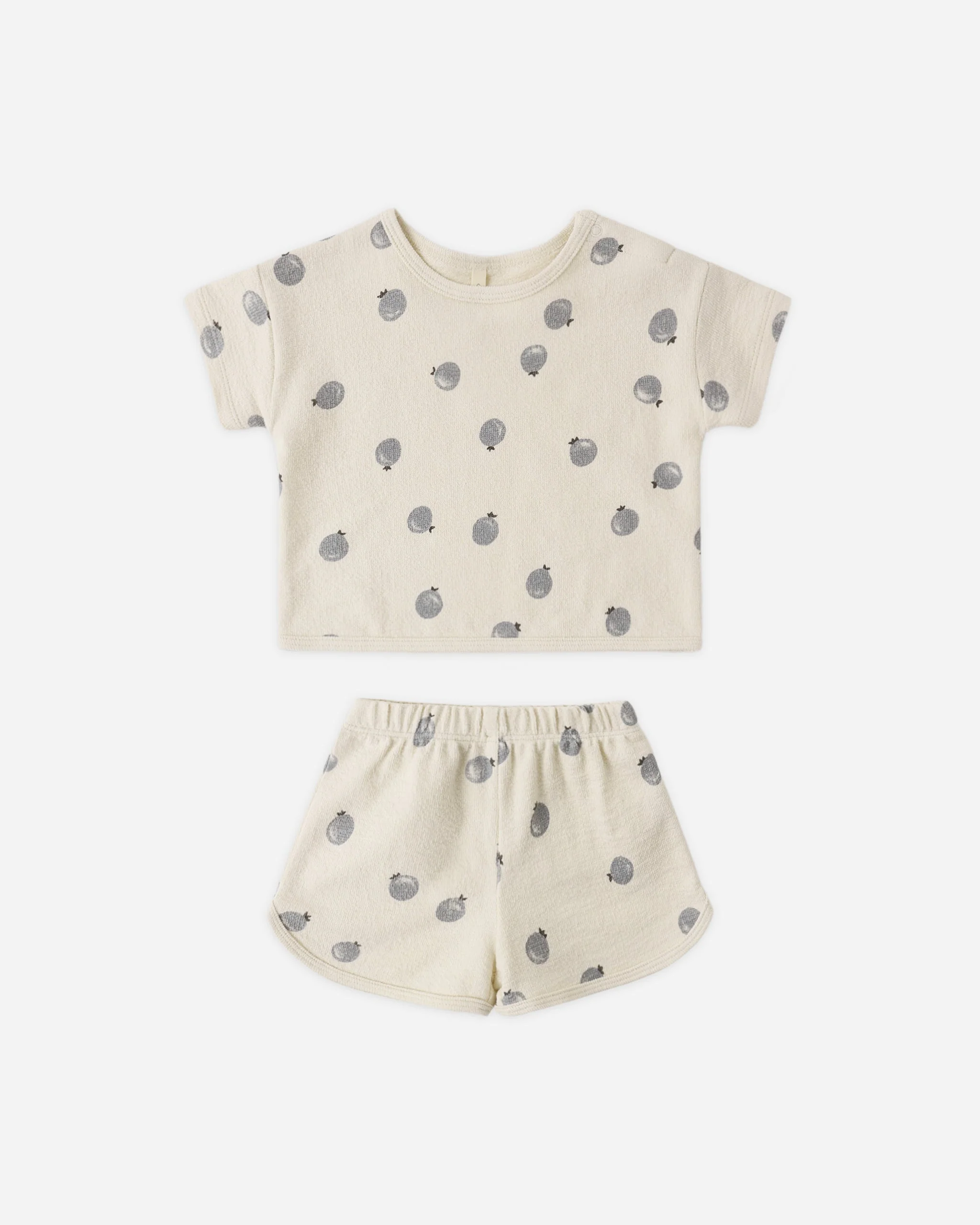Spongy Play Set Blueberries